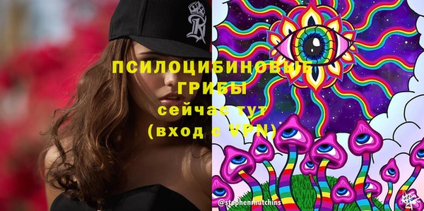 тгк Алзамай